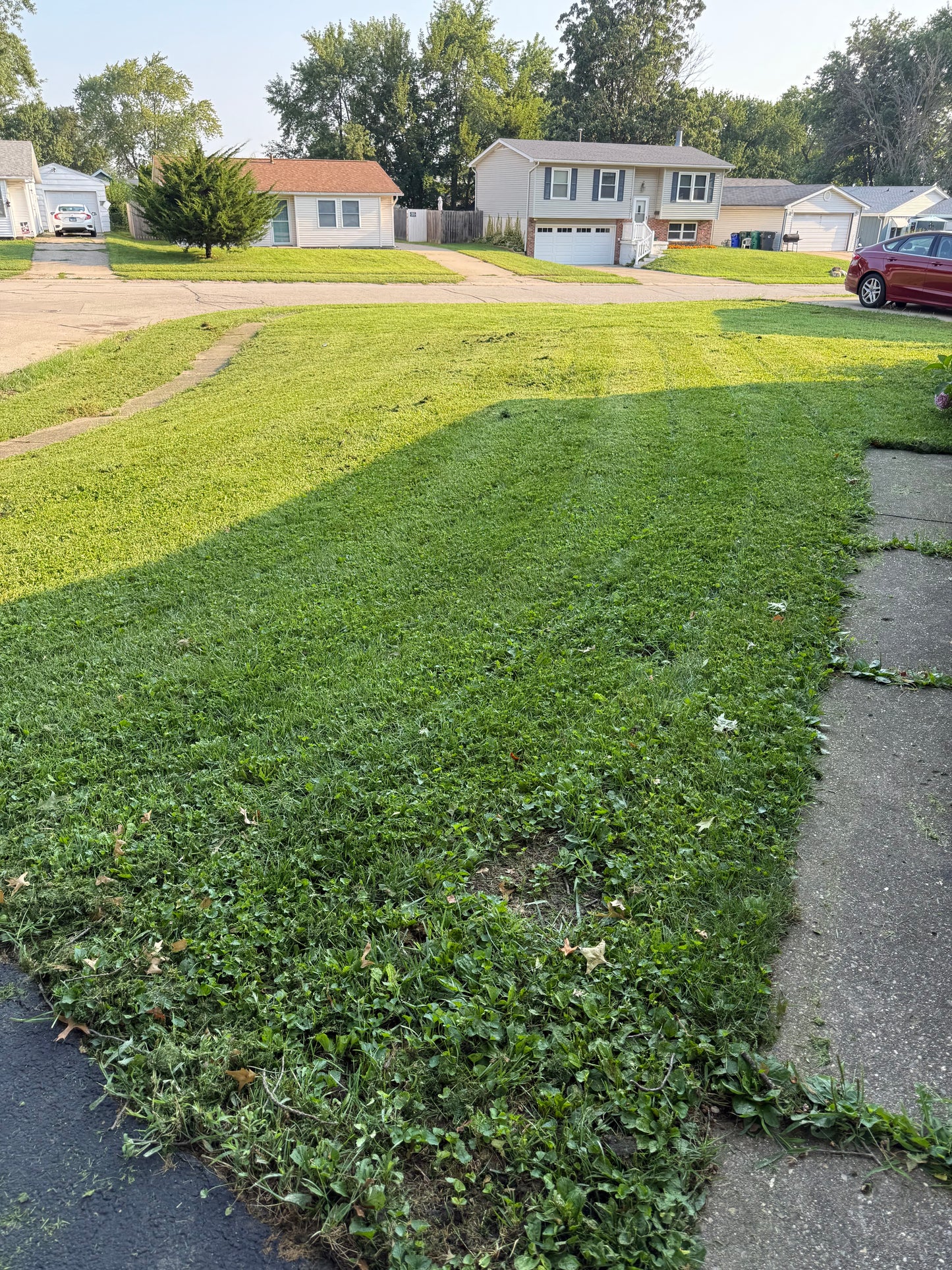 Lawn Deposit